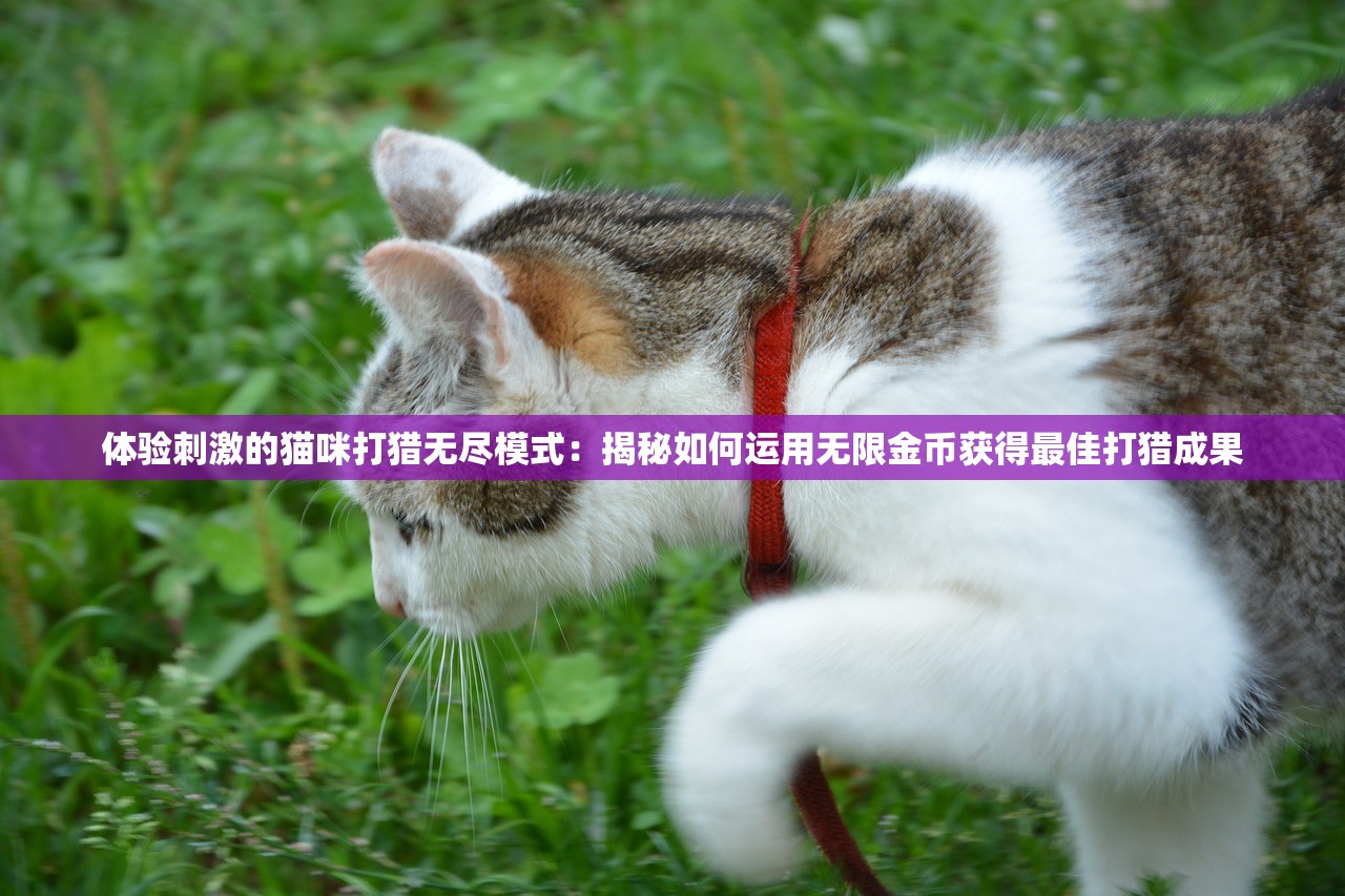 (花木兰从军记 恋听网)花木兰从军记小莫MP3，古韵与现代的交融