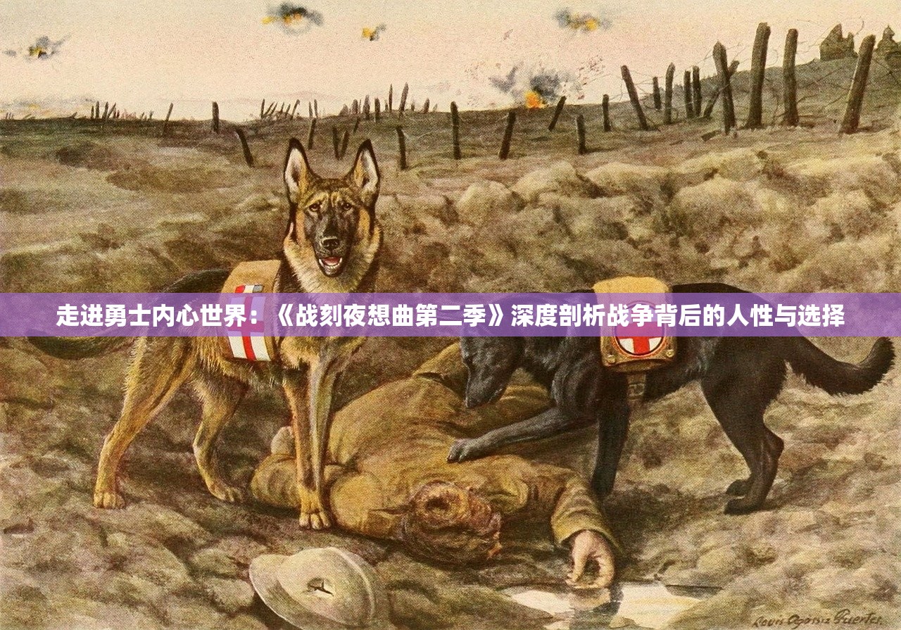 (实况旅人攻略大全)实况旅人攻略，探索未知，轻松旅行
