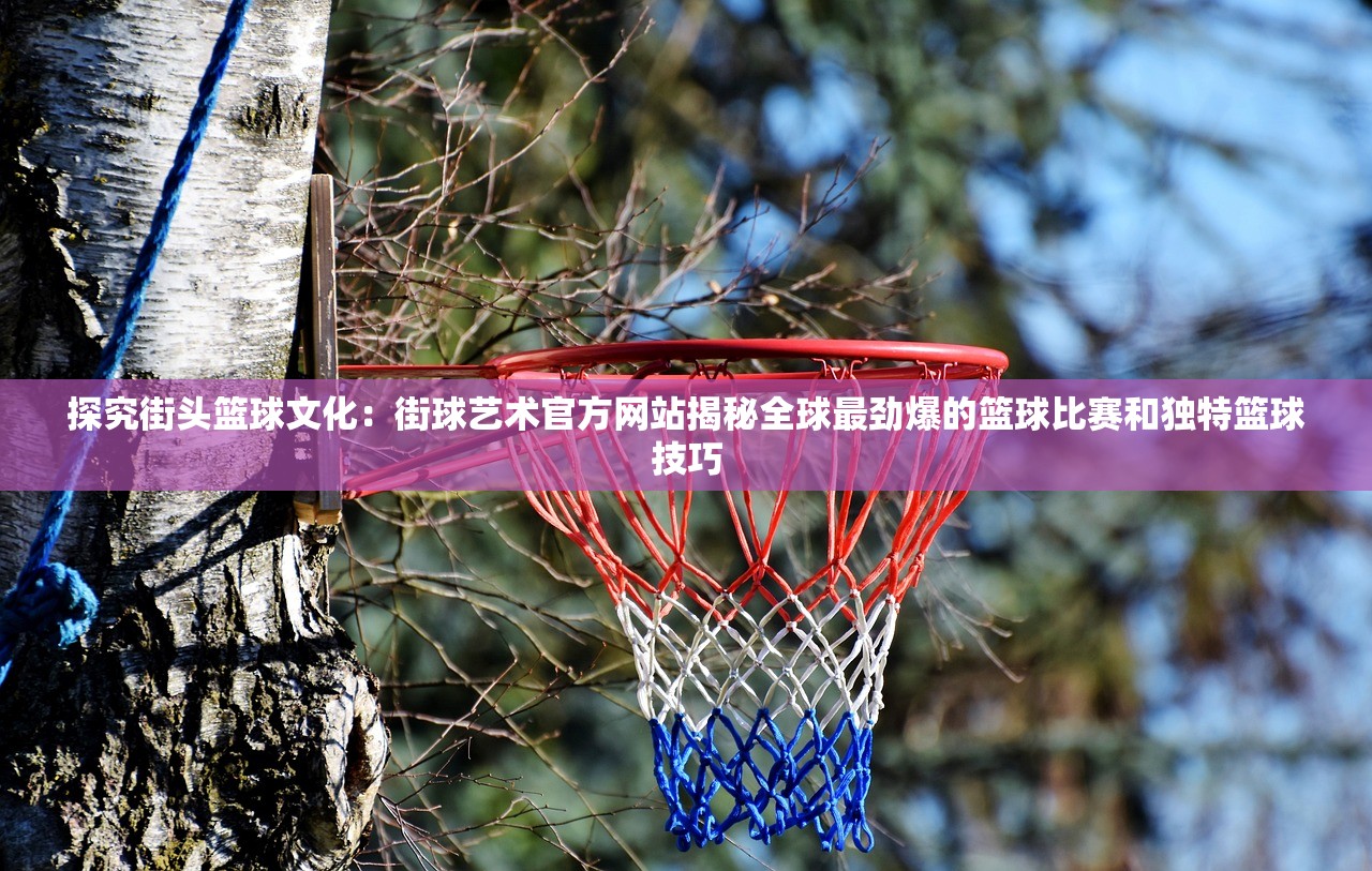 探究街头篮球文化：街球艺术官方网站揭秘全球最劲爆的篮球比赛和独特篮球技巧