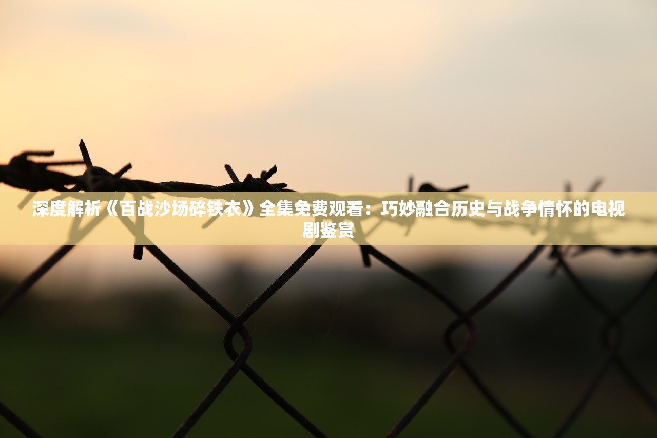 深度解析《百战沙场碎铁衣》全集免费观看：巧妙融合历史与战争情怀的电视剧鉴赏