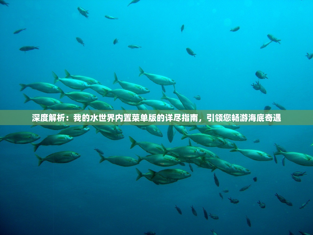 深度解析：我的水世界内置菜单版的详尽指南，引领您畅游海底奇遇