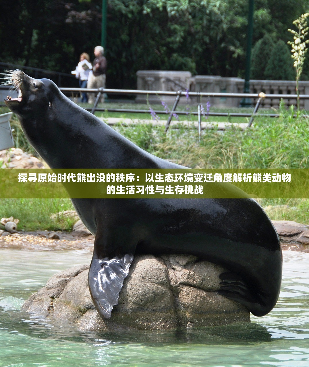 探寻原始时代熊出没的秩序：以生态环境变迁角度解析熊类动物的生活习性与生存挑战