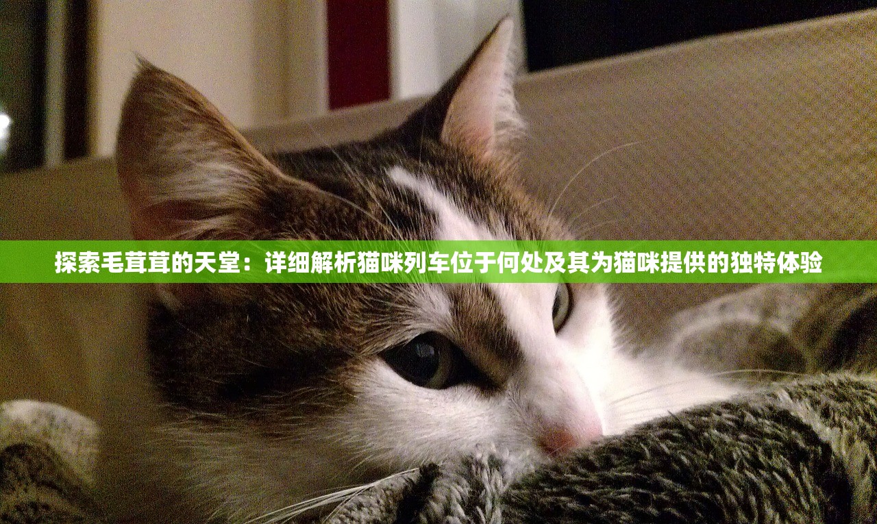 (神之猎场手游下载)神之猎场，兽类挑战攻略详解