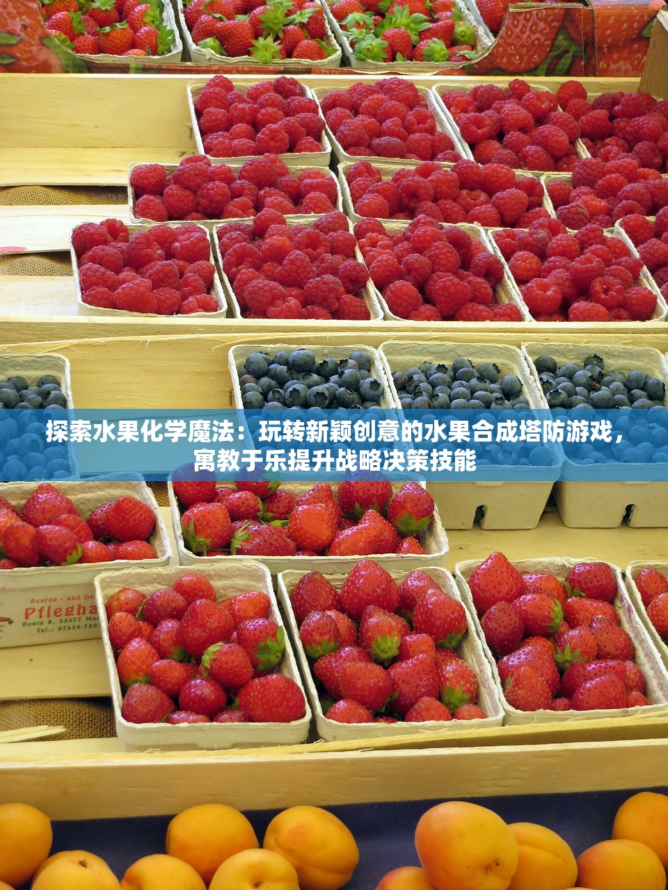 (我在兵临城下截取了一小段)兵临城下，内容删除与战略调整的深度探讨