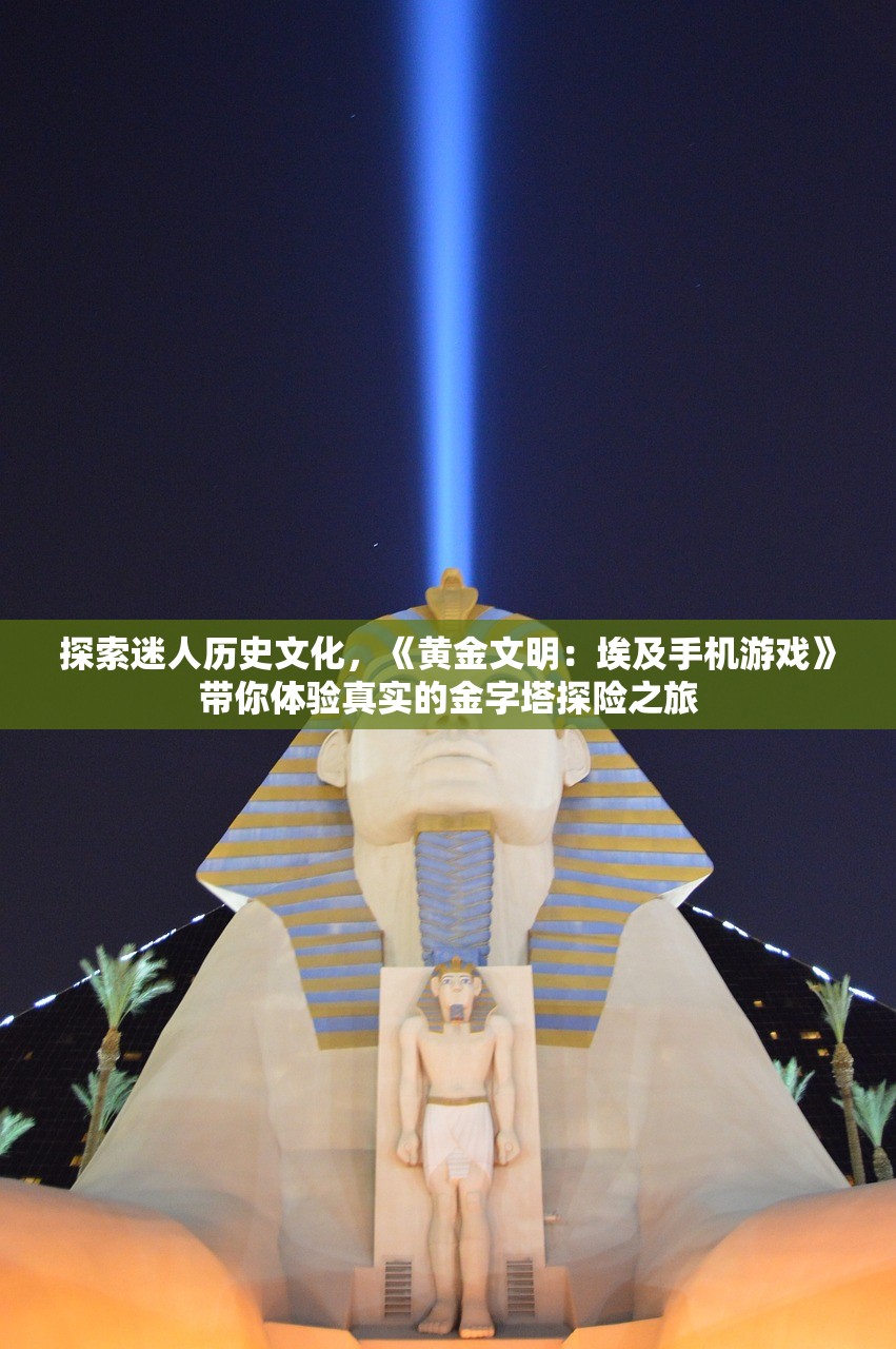 (飞龙不累破解版下载无限金币)飞龙不累，无限金币与钻石的奥秘探索