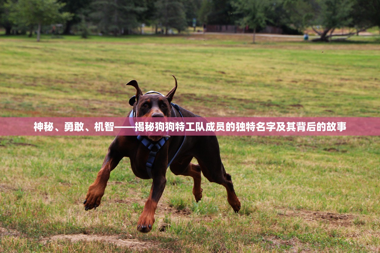 (逆转检事百度云)逆转检事攻略及百度网盘资源分享