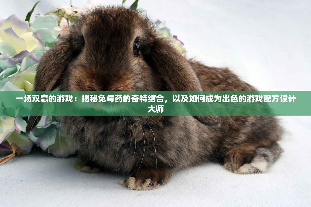 (航海纪元神迹适配安卓最新版)航海纪元神迹育碧正版，探索未知海域的神秘之旅