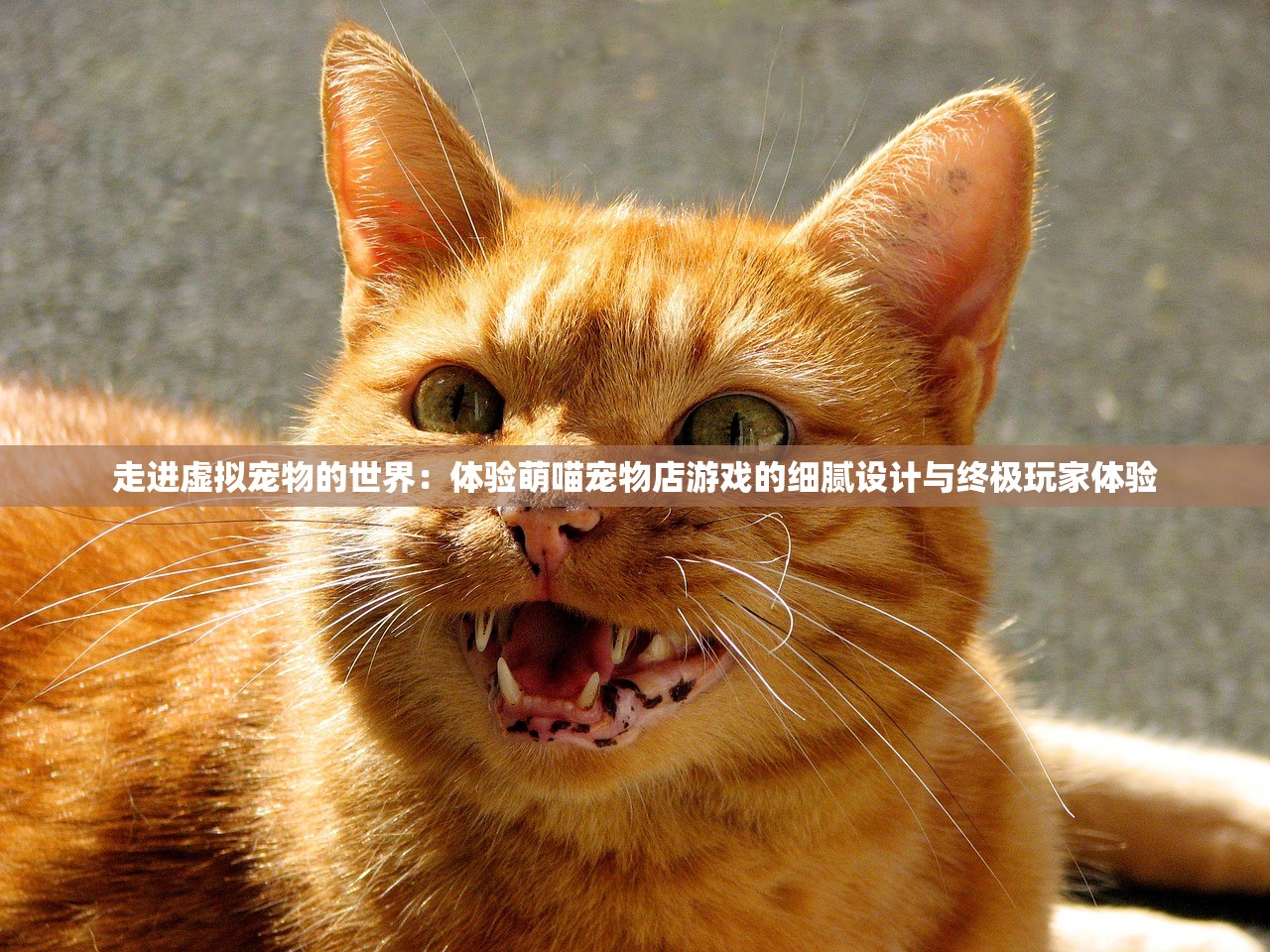 (九州世界观百度百科)九州世界观，探索一个奇幻世界的多元魅力