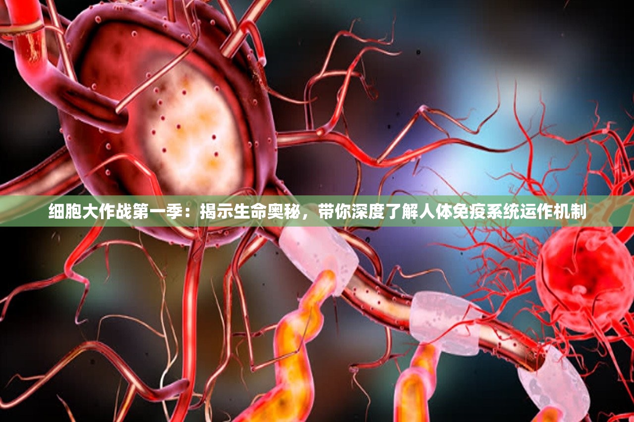 (乾坤三国手游攻略)乾坤三国手游，深度分析与玩家指南