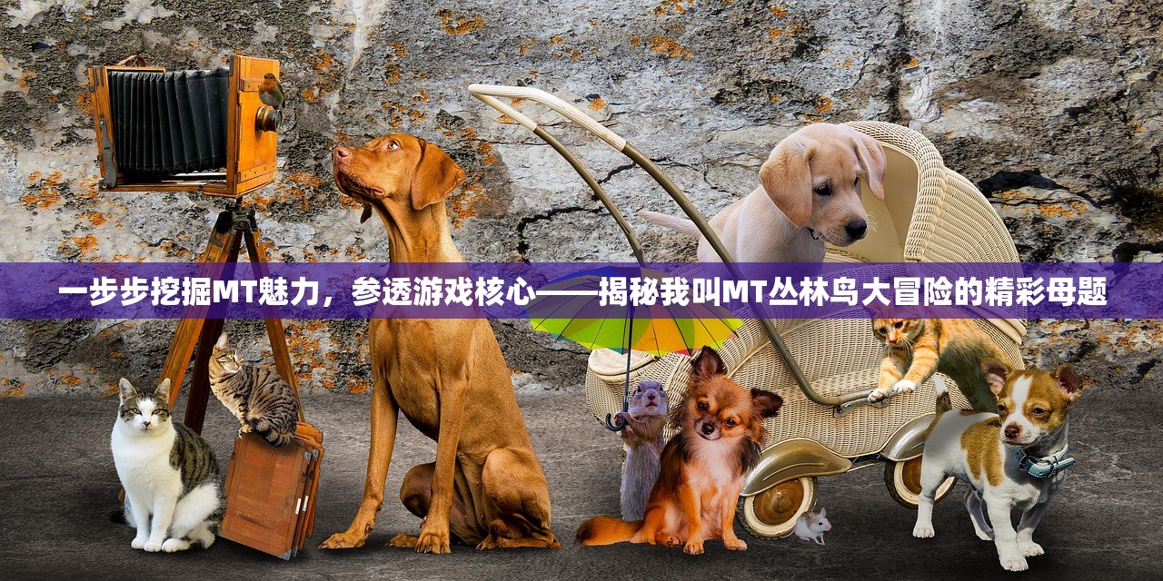 (香肠派对摸金模式怎么玩新手教程)香肠派对摸金模式攻略，玩转摸金，成为派对达人！