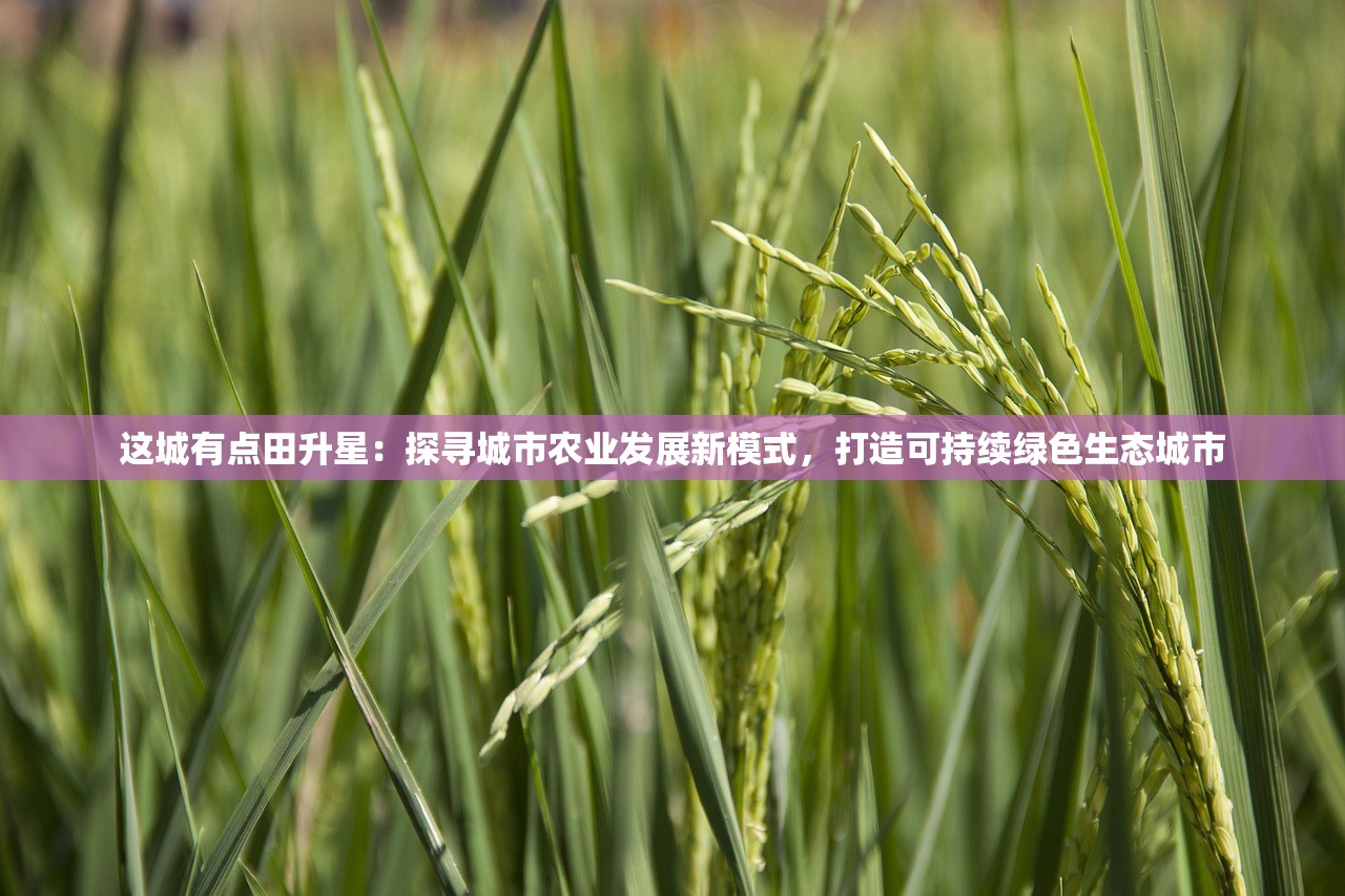 (口袋妖怪手游破解版下载无限钻石)口袋妖怪手游破解版，深度解析与常见问题解答