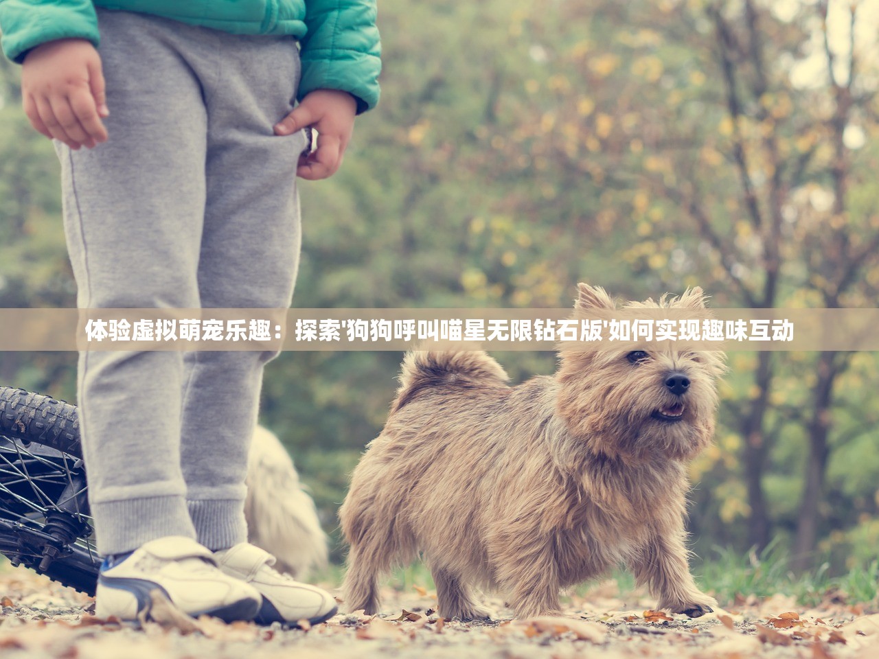 (与仙为途 小说)与仙为途全集，探寻奇幻之旅的深度与广度