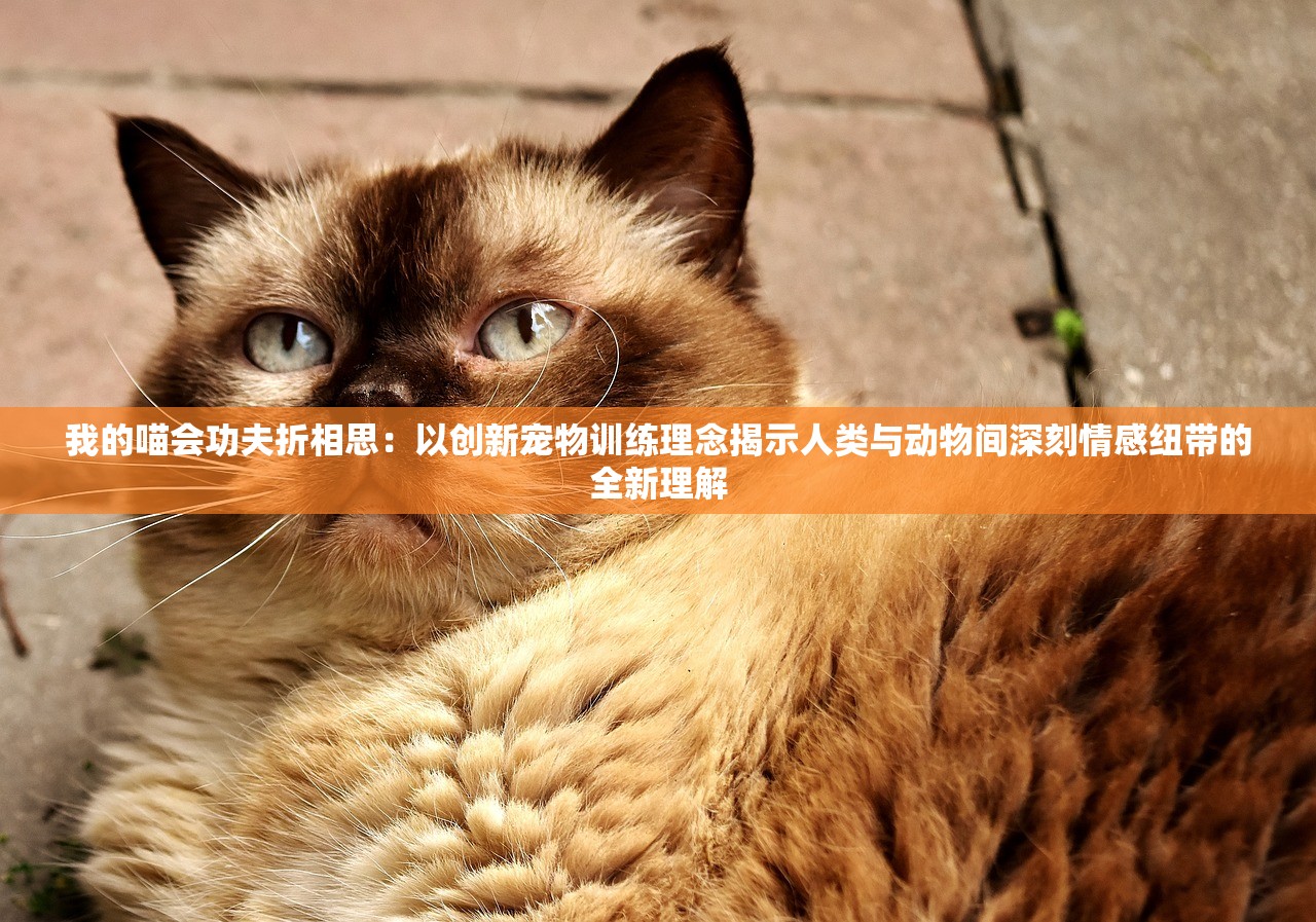 (征途怀旧版手游官网首页)征途怀旧版手游，重温经典，情怀依旧