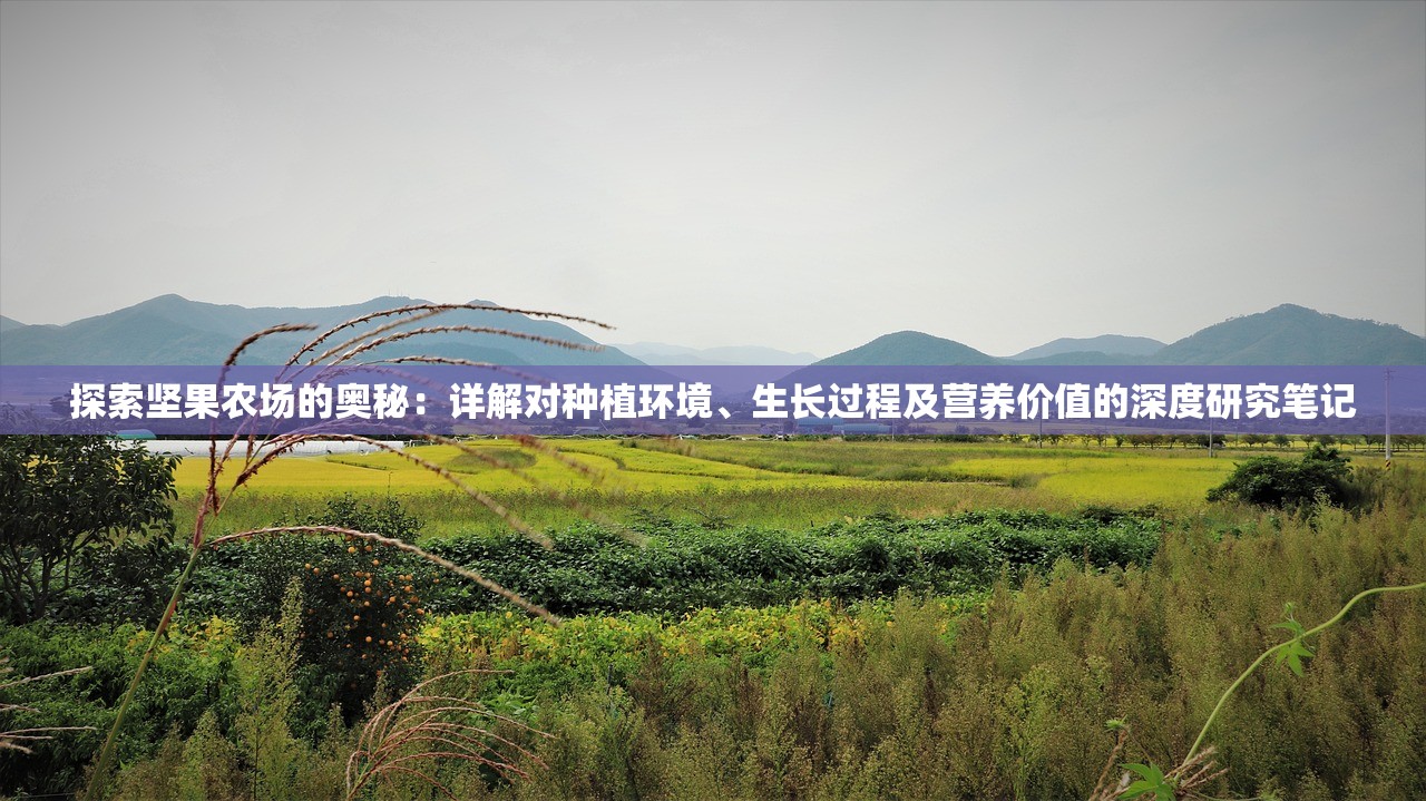 (魂器学院反和谐2024)魂器学院反和谐，深度解析与探讨