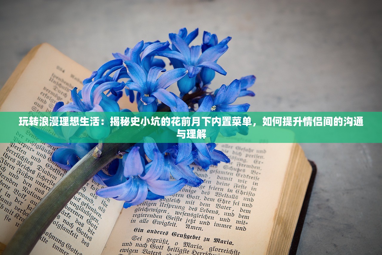 (口袋冒险家其他名字)口袋冒险家更名探究，背后的故事与未来展望