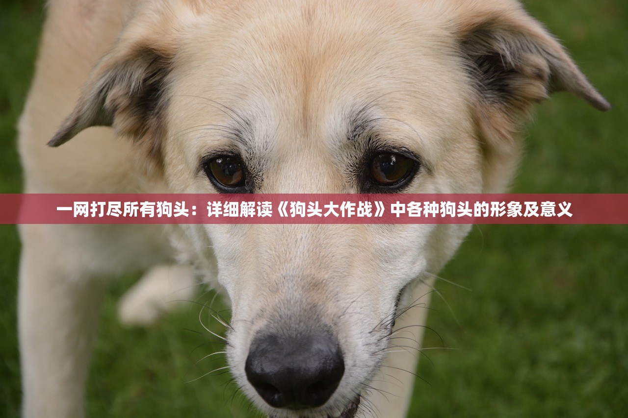 (关于倚剑手游游戏名字大全)倚剑手游，探索奇幻武侠世界的无尽魅力