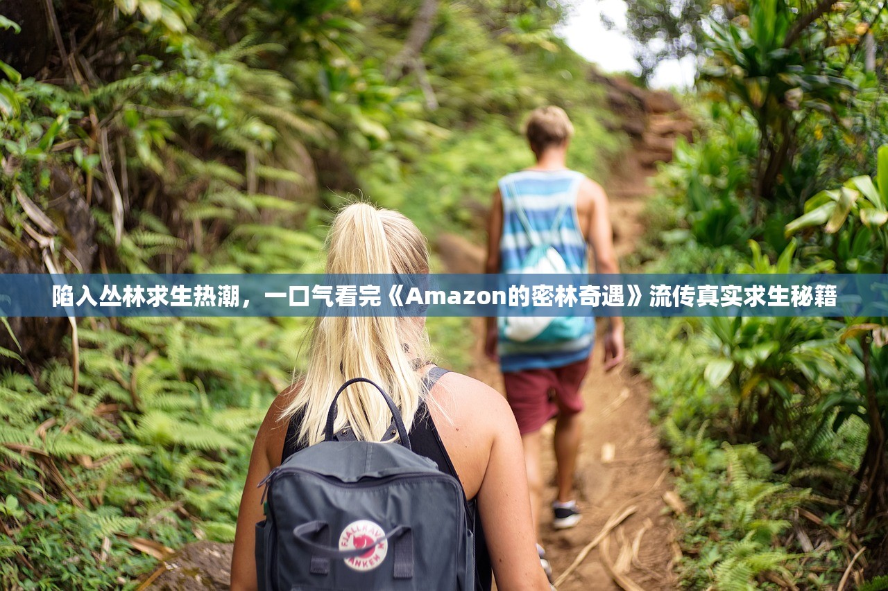 (坎公骑冠剑-1)坎公骑冠剑，探索游戏全称及其背后的奇幻世界