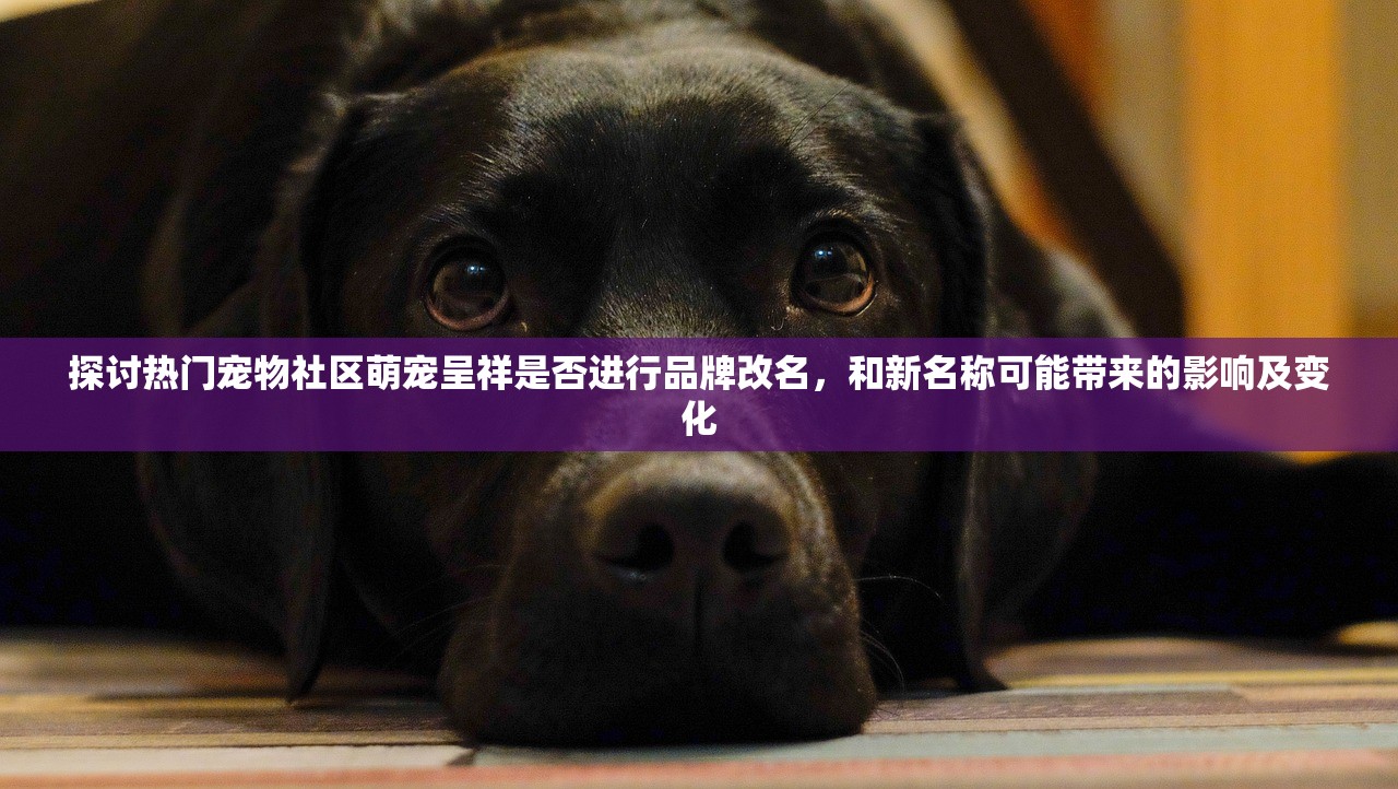 (坎公骑冠剑-1)坎公骑冠剑，探索游戏全称及其背后的奇幻世界