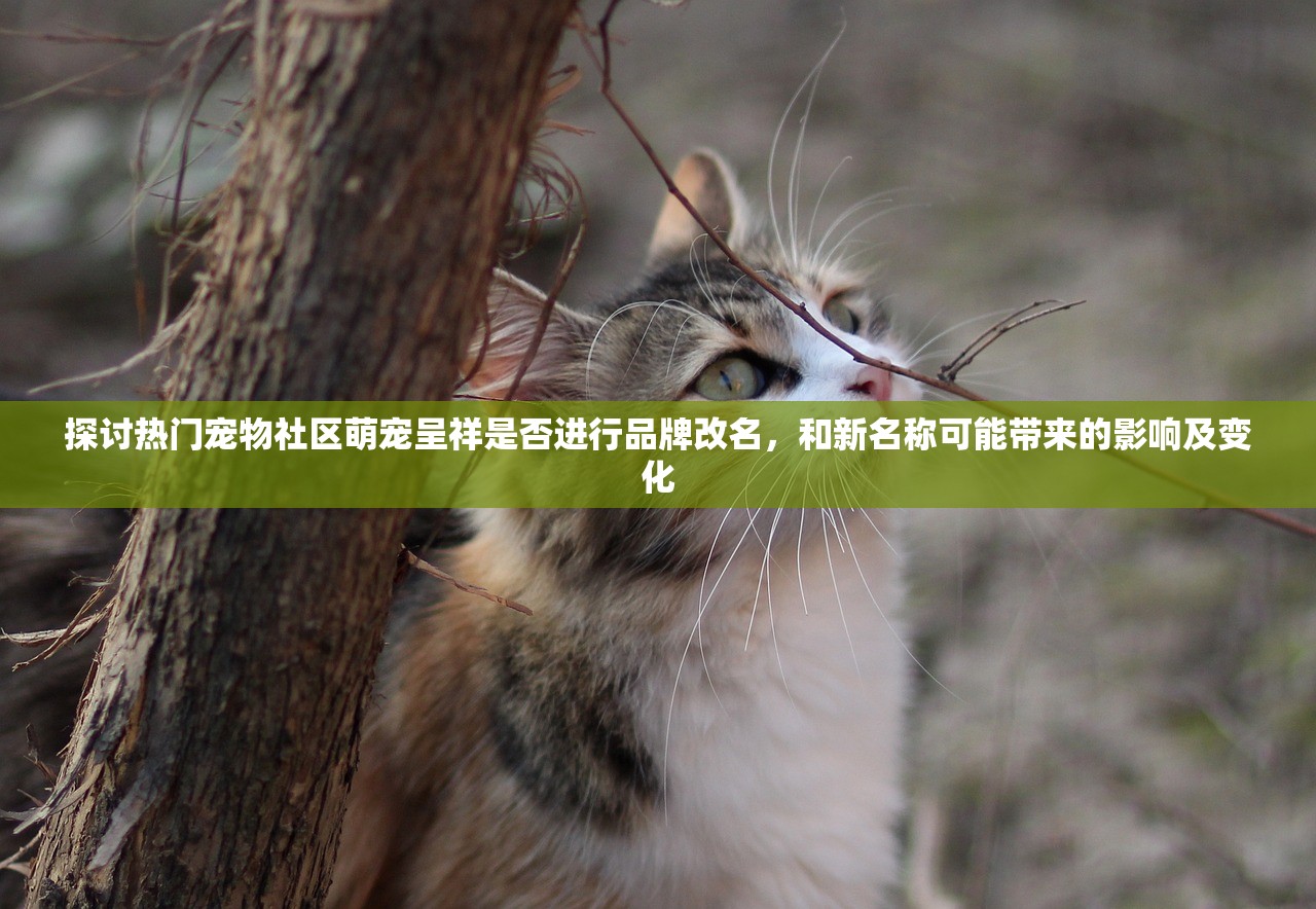 (学园偶像大师wiki)偶像大师人物图鉴Wiki，深度解析角色魅力与特色