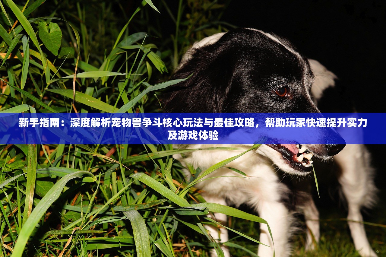 (世界奇妙物语百度云)物语百度云的探索，云存储的新纪元