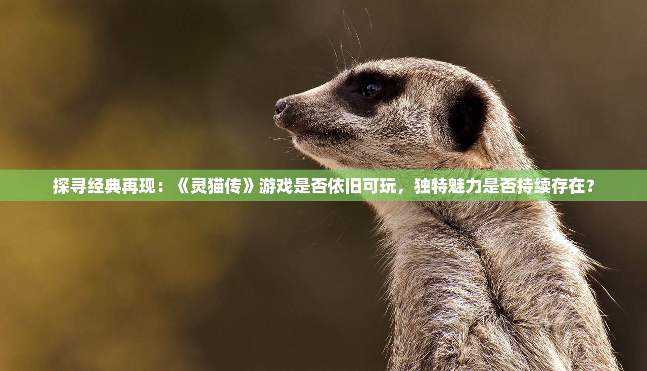 (碧空战纪阵容攻略)碧空战纪的新名字，变革与续篇