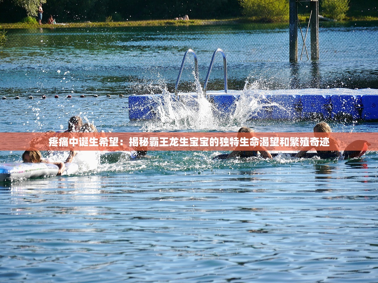 (热血英雄演员表介绍)热血英雄演员表及其角色深度解析