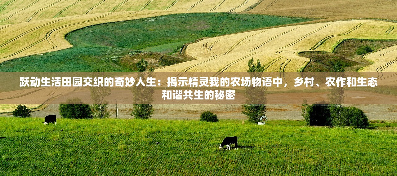 (西安脱口秀俱乐部步惊云)西安脱口秀俱乐部，绽放的笑场，文化的舞台