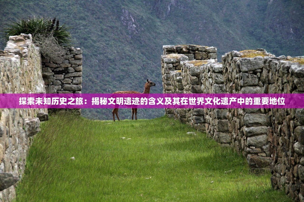 (魔法强度)魔法有点强，平民最强组合揭秘