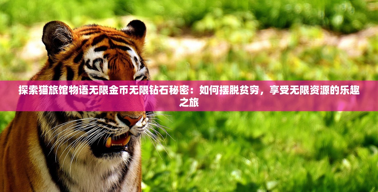 (超神格斗杀破狼最强搭配攻略)超神格斗杀破狼，最强搭配攻略揭秘