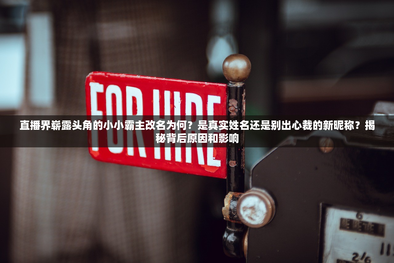 (代号rider贴吧)代号Rider，探索未来智能出行的先锋力量