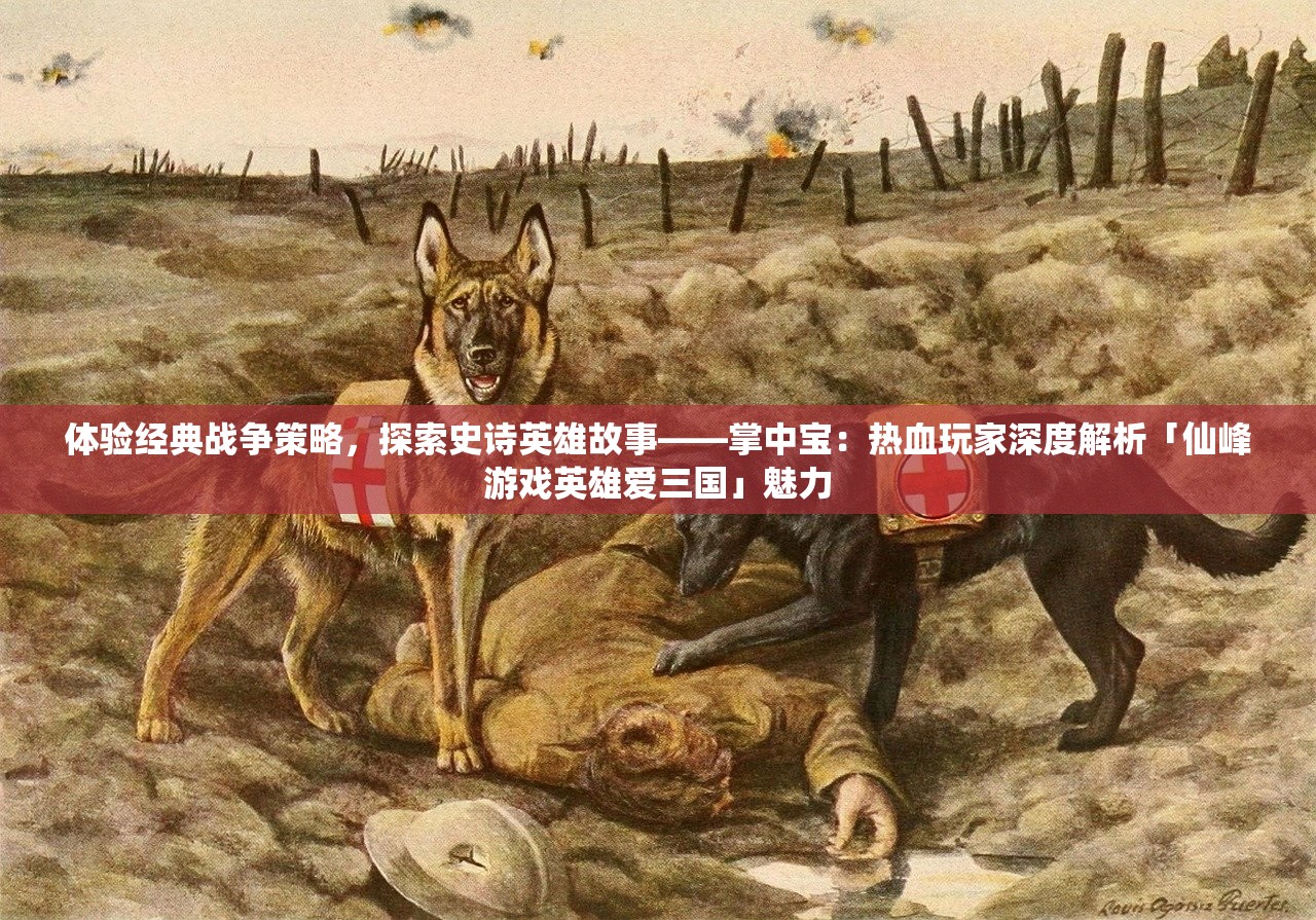 (海商王2自治港贸易攻略)海商王2自治港攻略详解及常见问答解答