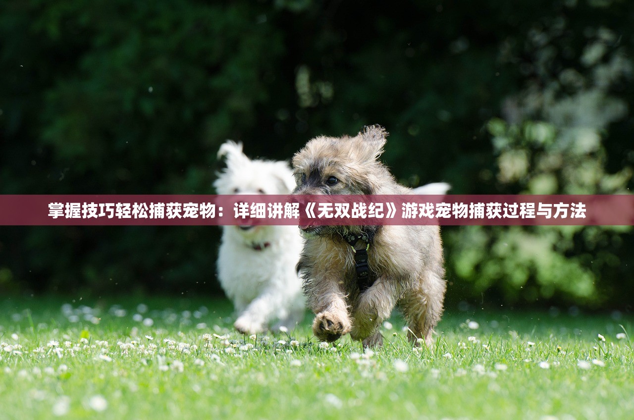 (怎么配网段)电脑配置网段，从入门到精通的全方位解析