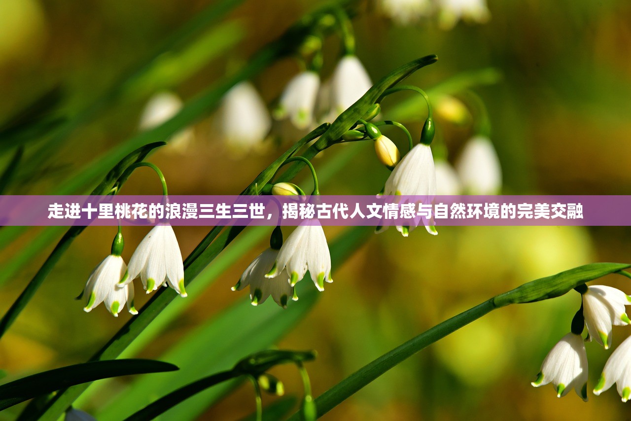 (巴雄天下辅助器)巴雄天下手游辅助，游戏利器助你称霸天下