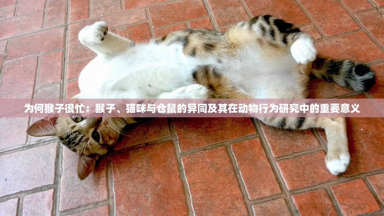 (太古封魔录怎么合成两星戒指)太古封魔录2家具配方攻略大全及常见问题解答