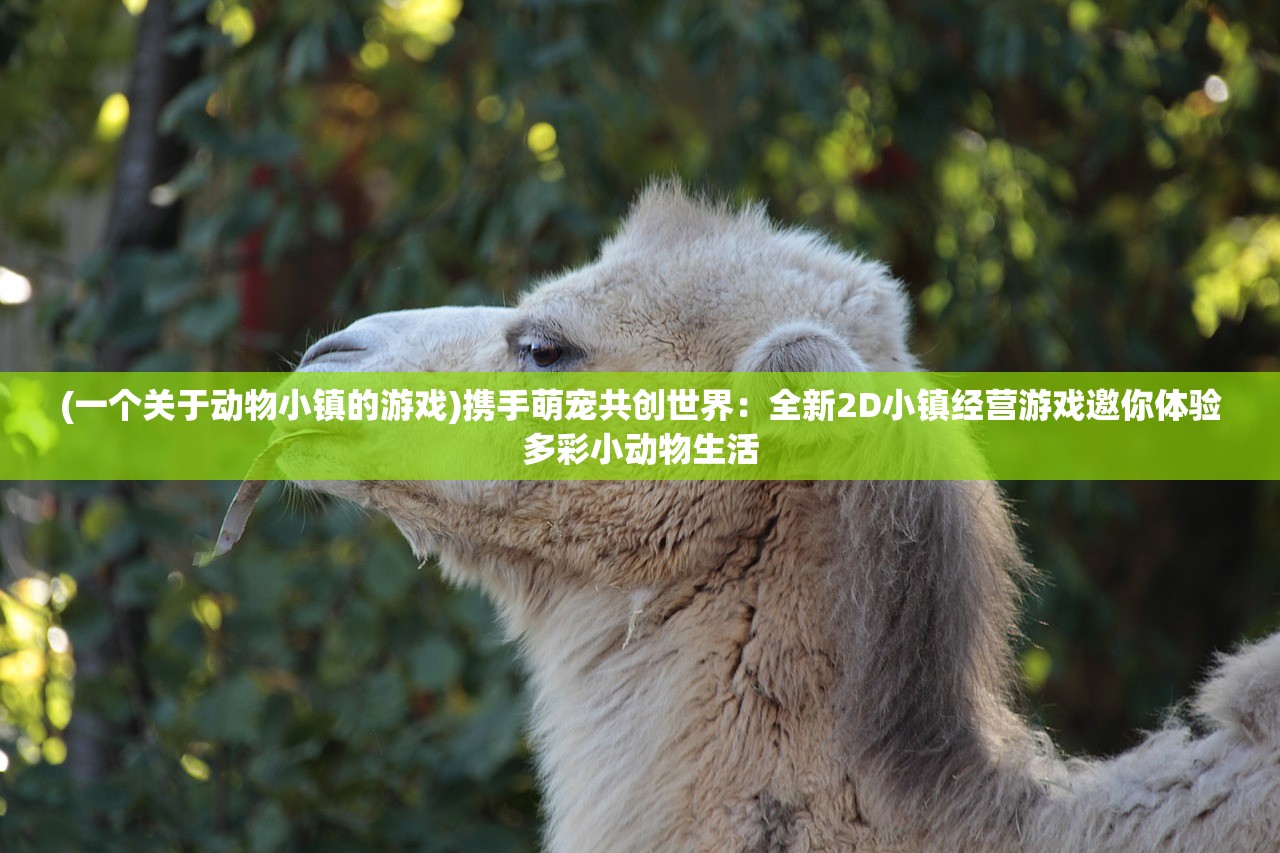 (仙道奇侠手游)仙道奇侠激活码，探索神秘世界的必备密钥