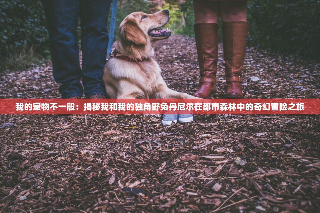 (上古纷争有几个版本啊)关于上古纷争的版本数量及其多样性探讨