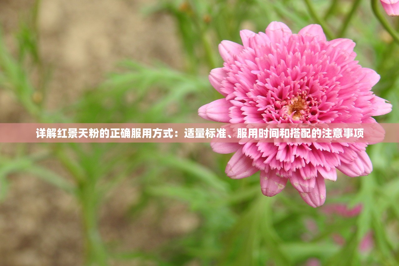 (侍忍者礼包码)侍忍者最佳阵容，策略、搭配与战术分析