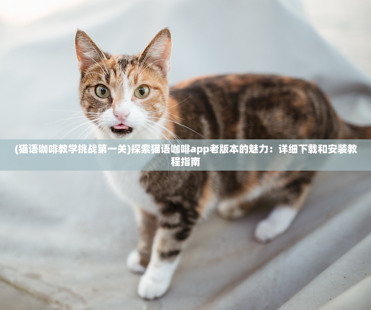 (屠龙杀传奇手游官网)屠龙杀传奇手游，探索史诗级游戏世界的魅力