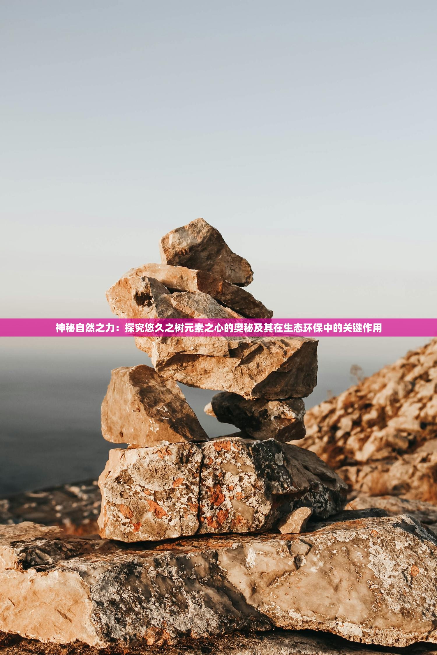 (我的仙门手游攻略)我的仙门攻略，新手入门指南与进阶攻略大全