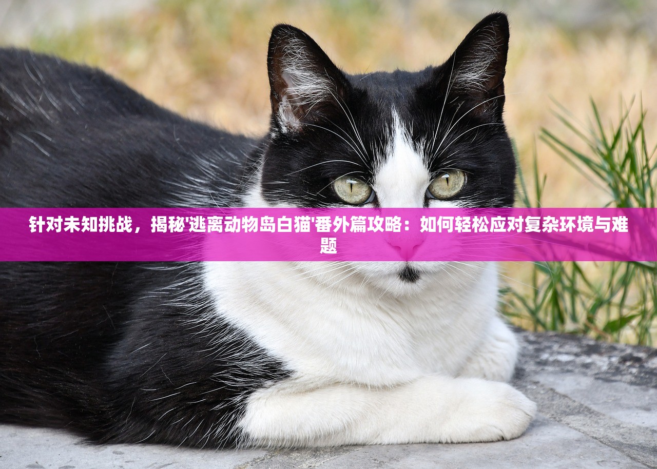(小小五千年更换主将)小小五千年更换主帅的步骤与策略