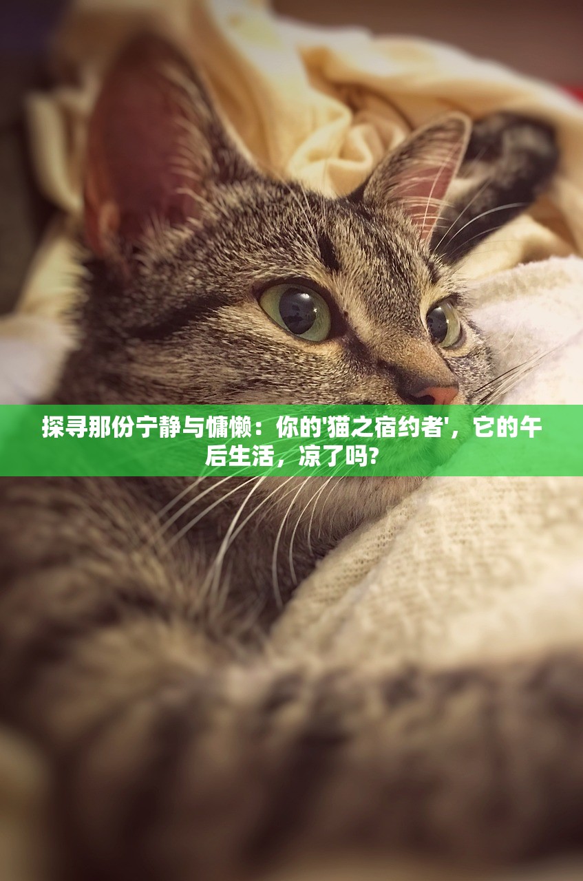 (古剑逍遥奇门战印搭配攻略)古剑逍遥奇门战印搭配，策略与技巧的深度解析