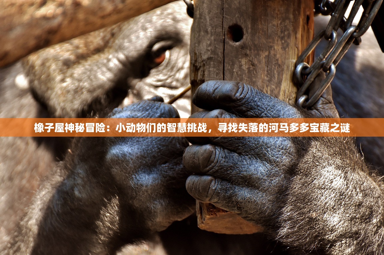 (掘地挖宝红包版下载)掘地挖宝红包版，游戏新风尚与互动体验探索