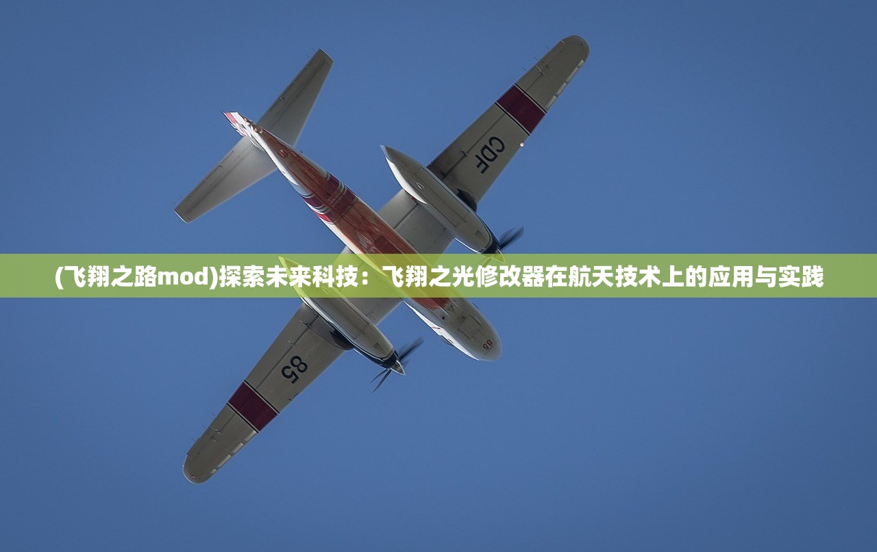 (向的生活第8季什么时候开播2024)关于向的生活第8季开播时间的探讨与期待