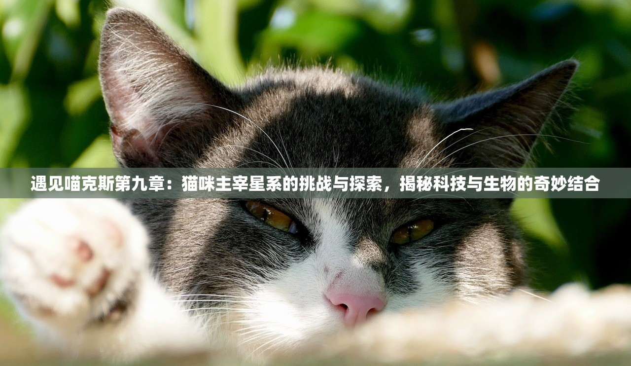 (风起三国之乱世逐鹿下载安装)风起三国之乱世逐鹿，群雄争霸的时代背景与策略分析