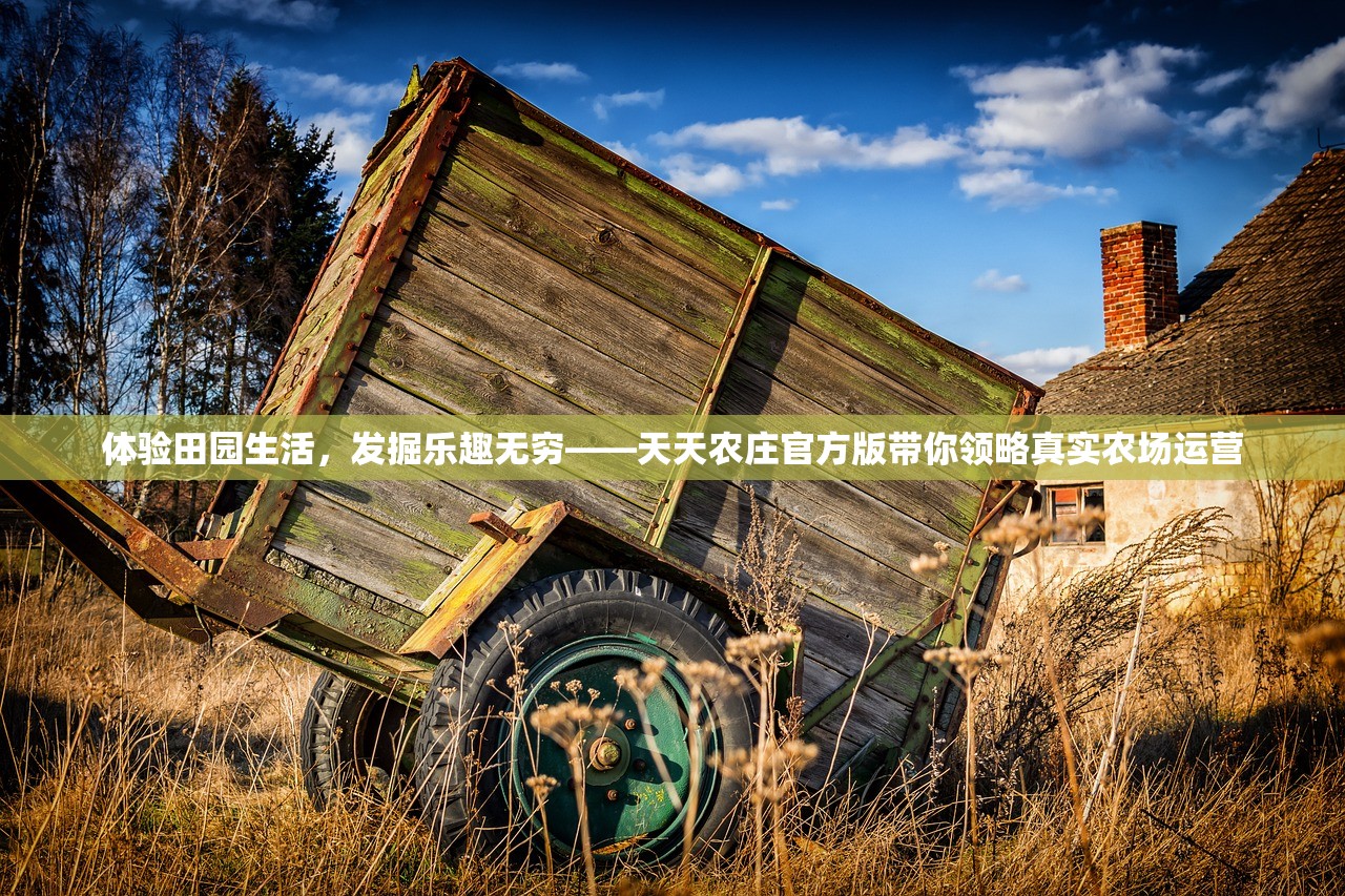 (魂之刃巨龙城堡氪金吗)魂之刃巨龙城堡，不花钱能否畅享游戏？