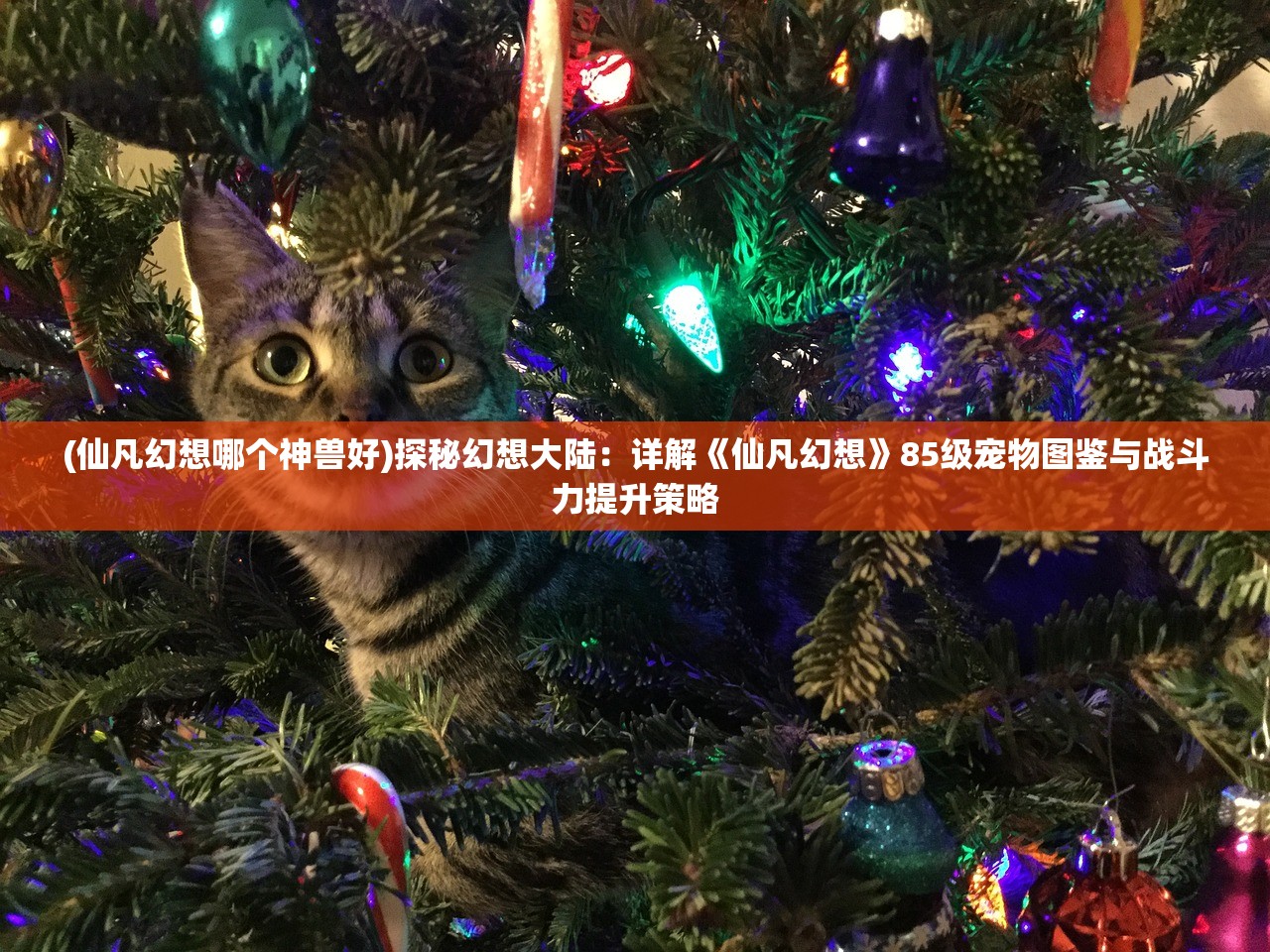 (昊天传奇官网)昊天传奇，90级最简单升级攻略揭秘