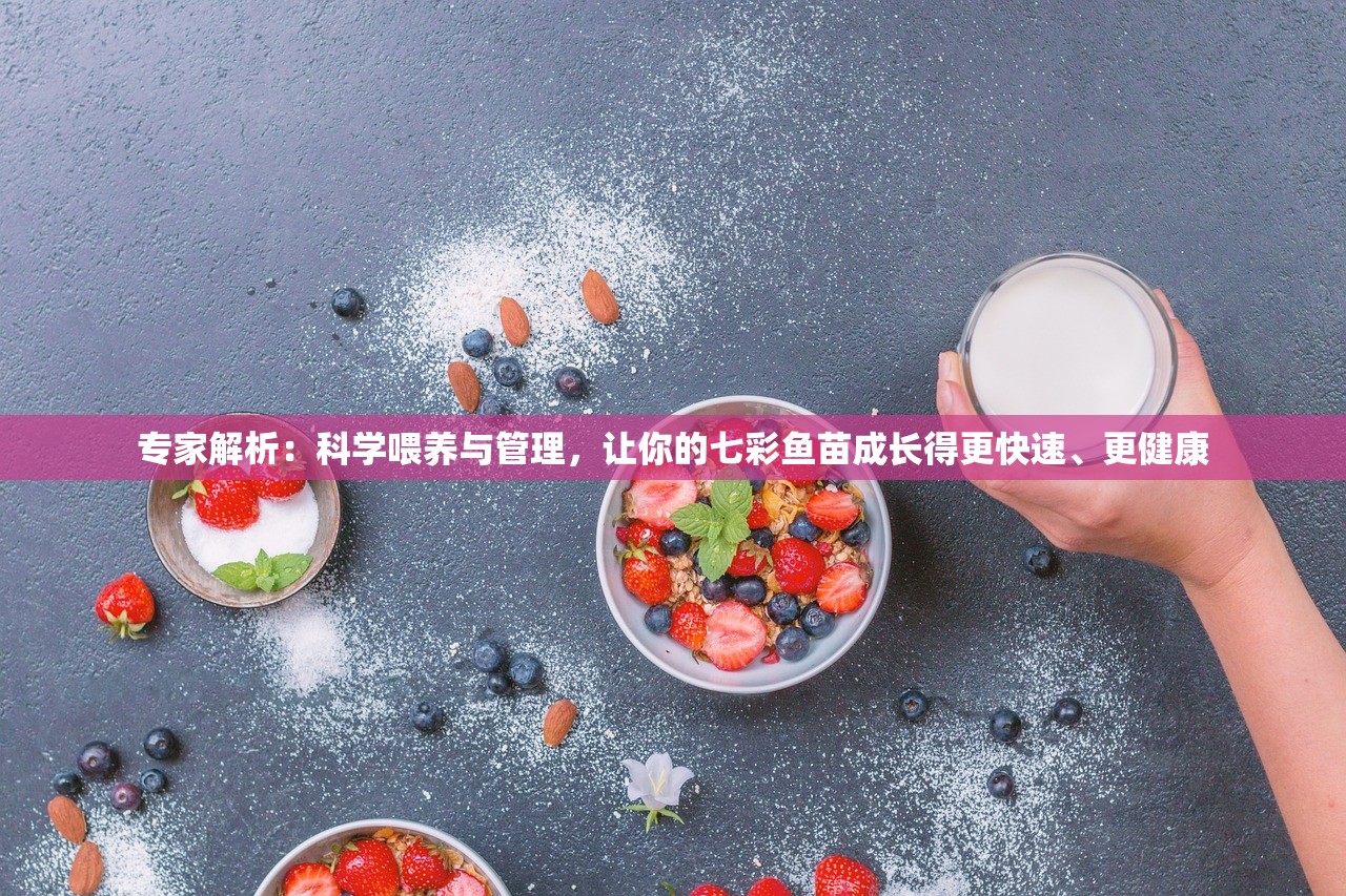 (神兽金刚荣耀之战内购免费版下载)神兽金刚荣耀之战内购免费版，深度解析与体验分享