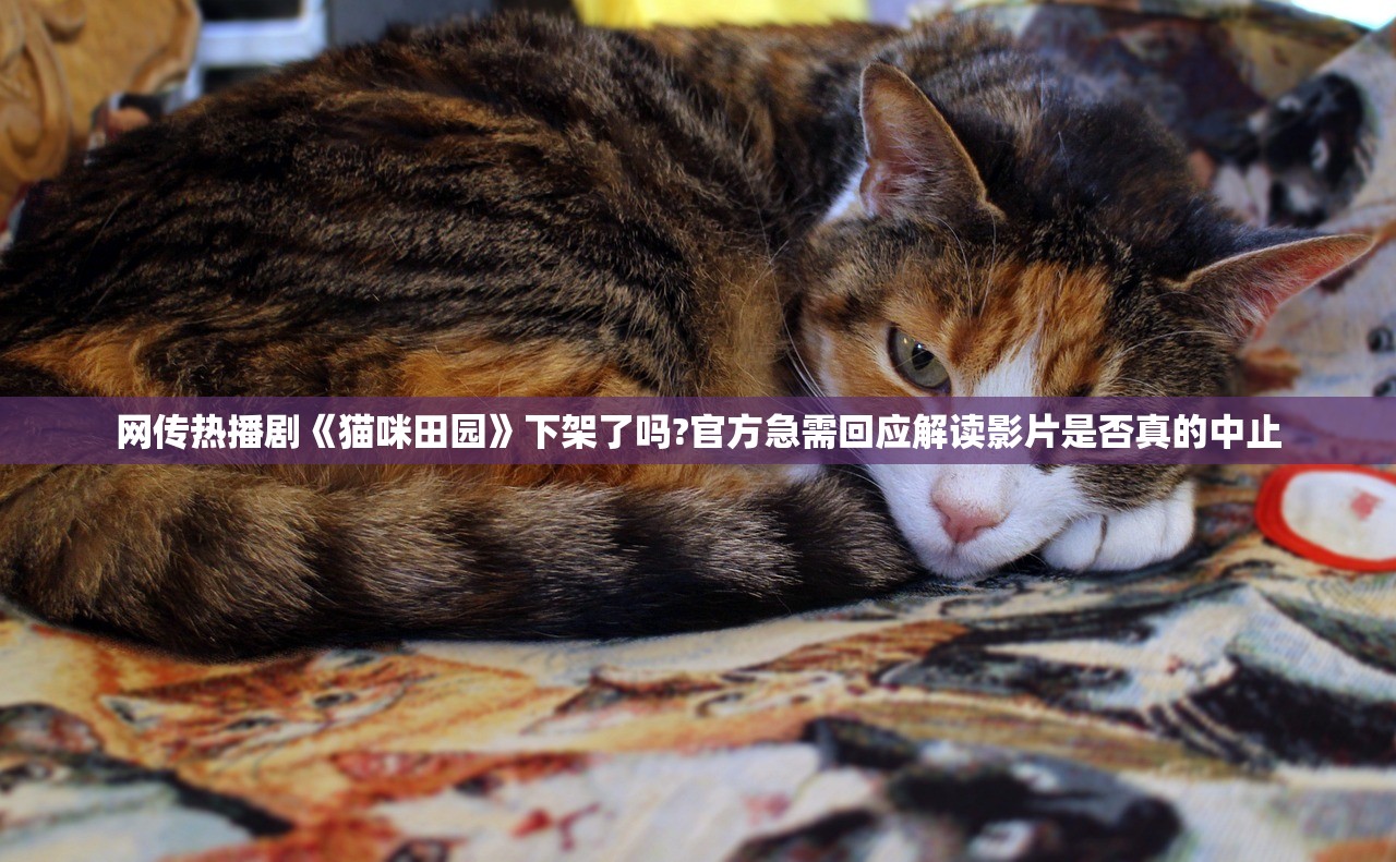 (独奏骑士修改器教程)独奏骑士修改器的探索与应用，游戏玩家的必备工具