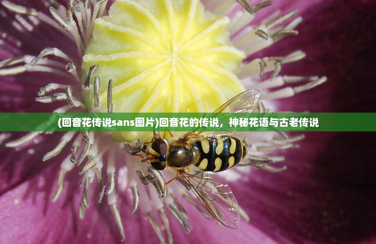 (华为应用商店下载)我的勇者华为渠道服，游戏特色与玩家指南