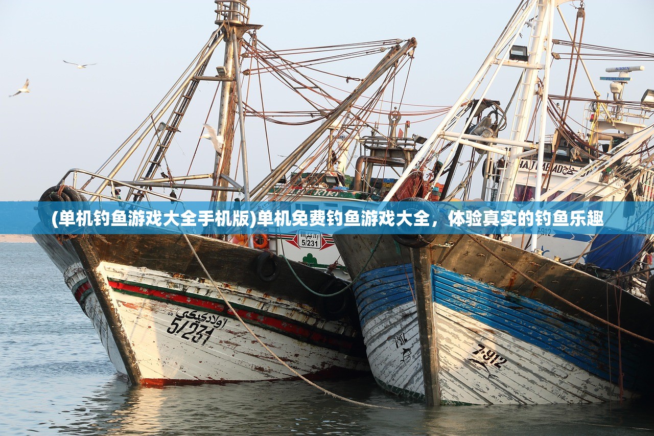 (妖刀退役)妖刀退魔忍一闪，深入解析背后的故事与意义